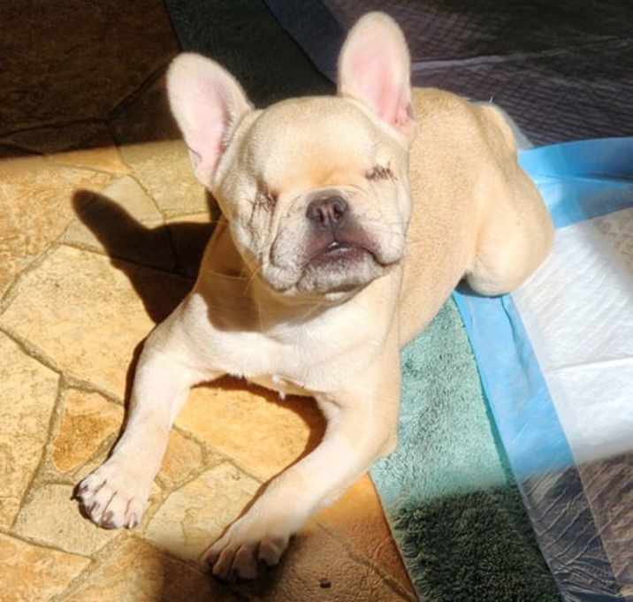 Photo of Carlita