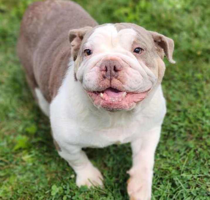 Photo of Sugar