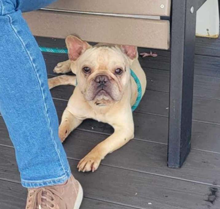 Photo of Flynn