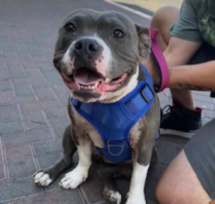 Photo of SWEETIE
