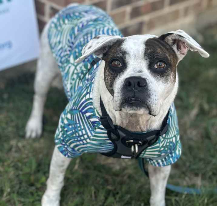 Photo of Roxy