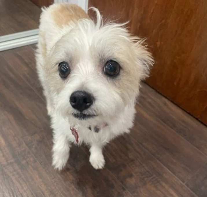 Photo of Mandy
