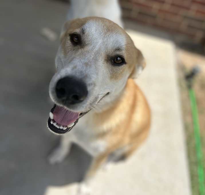 Photo of Grizz