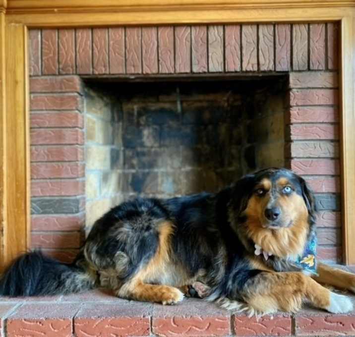 Photo of Brody