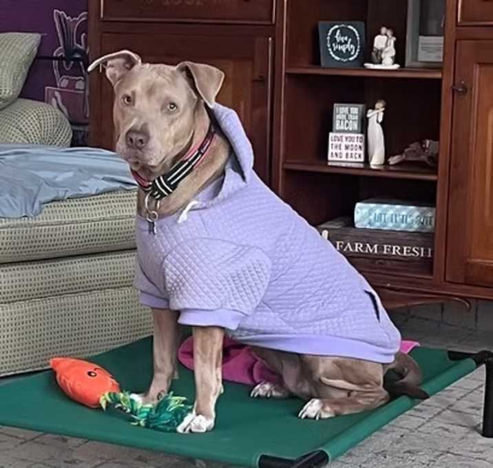 Photo of Reese