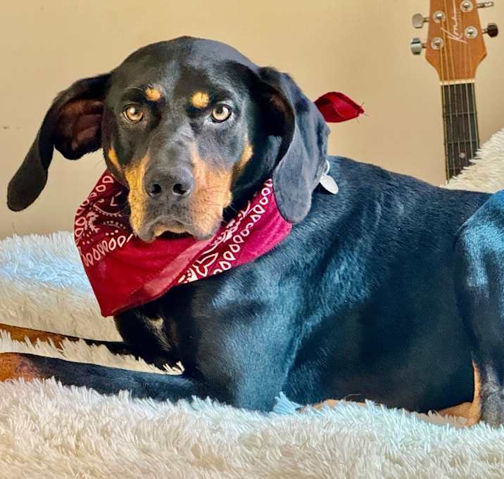 Photo of Boom Boom Boomer