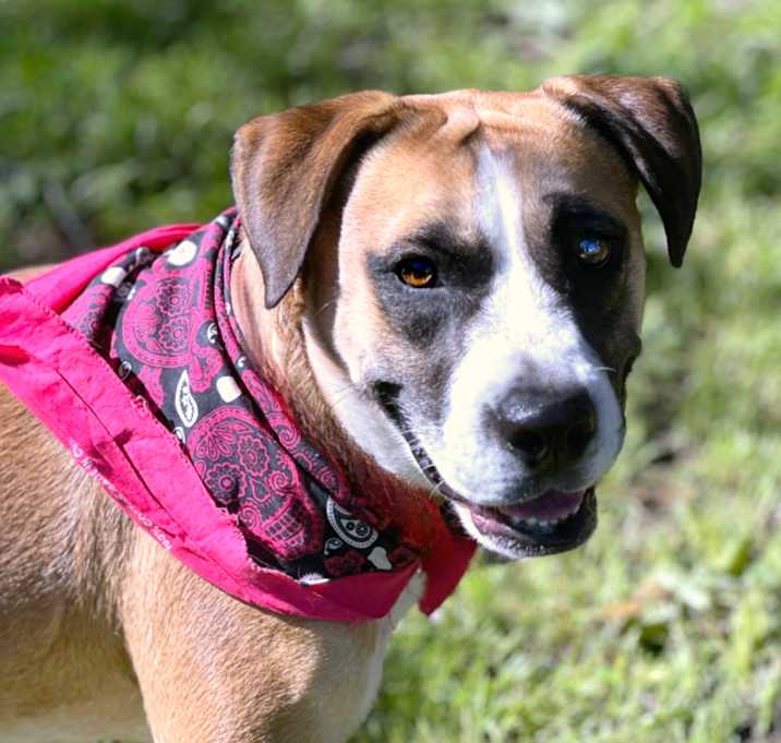 Photo of Bertha
