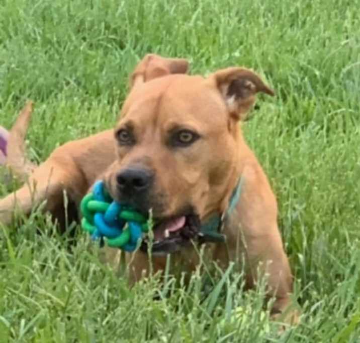 Photo of Maximus