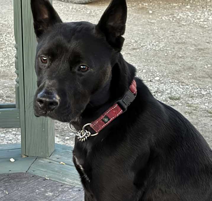 Photo of Ivy