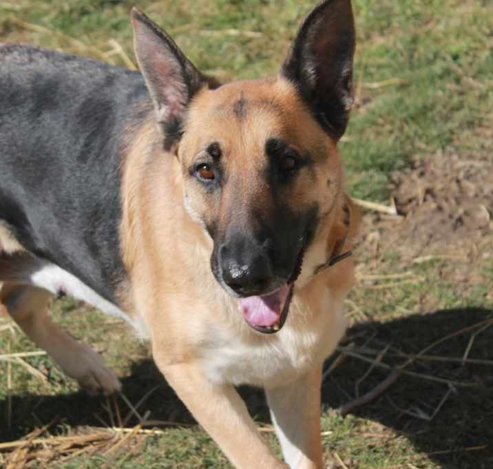 Photo of Mabel