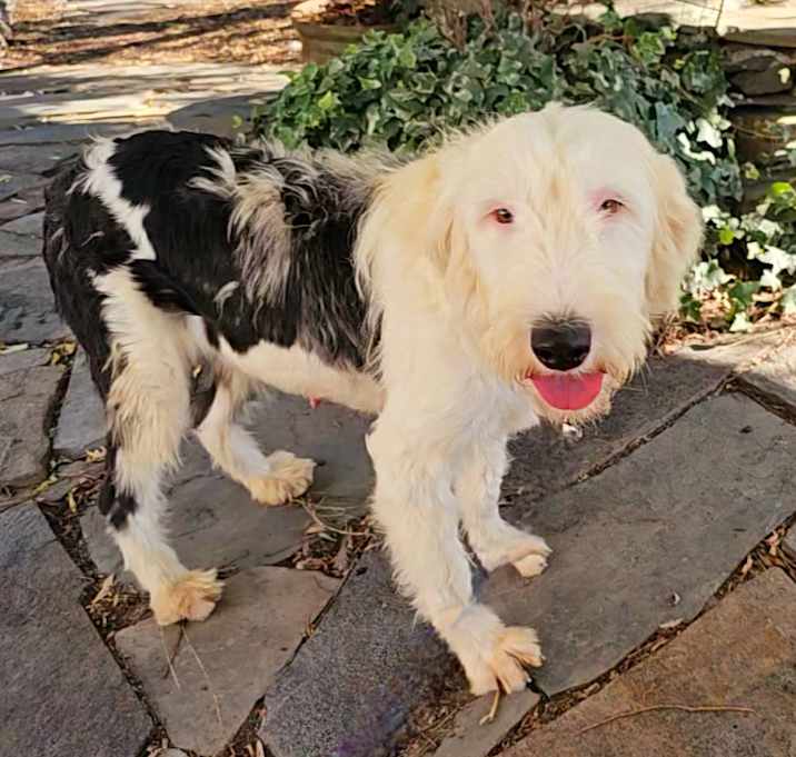 Photo of Maggie