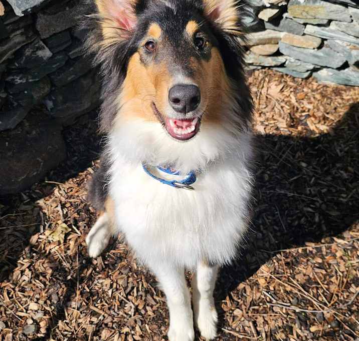 Photo of Spark