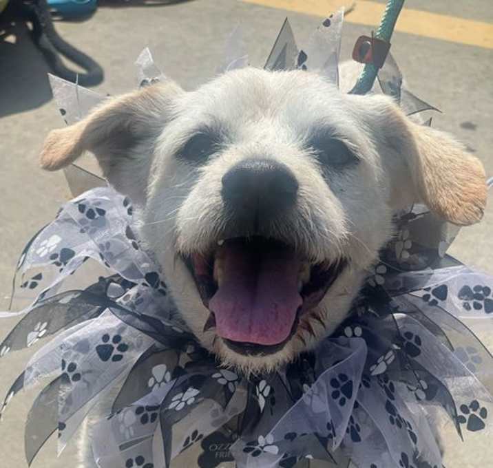 Photo of Coco