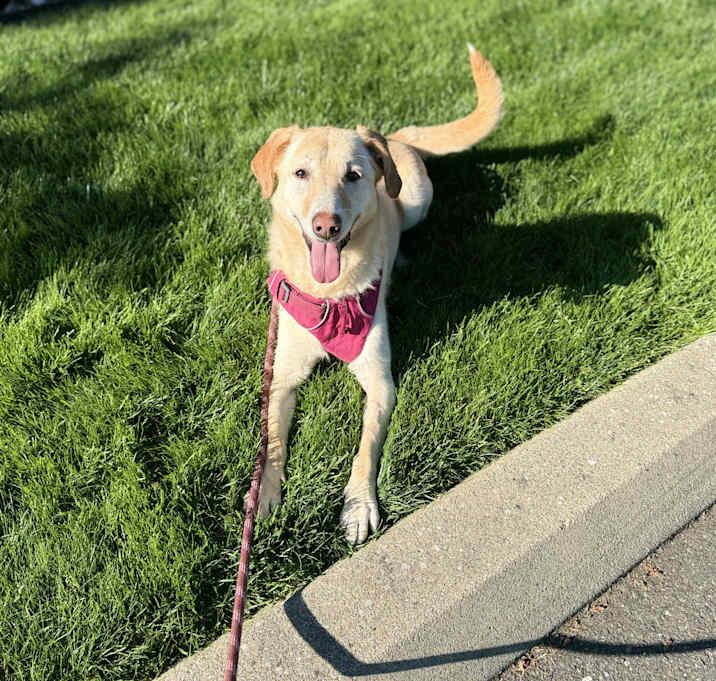 Photo of Molly