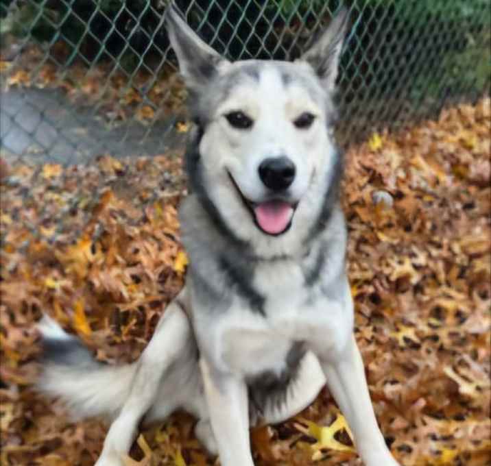 Photo of CUBBY IS A HIKER