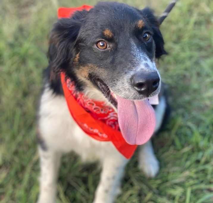 Photo of Casey