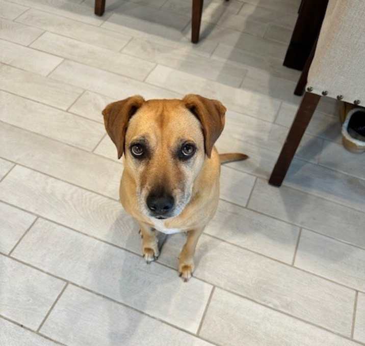 Photo of Bella