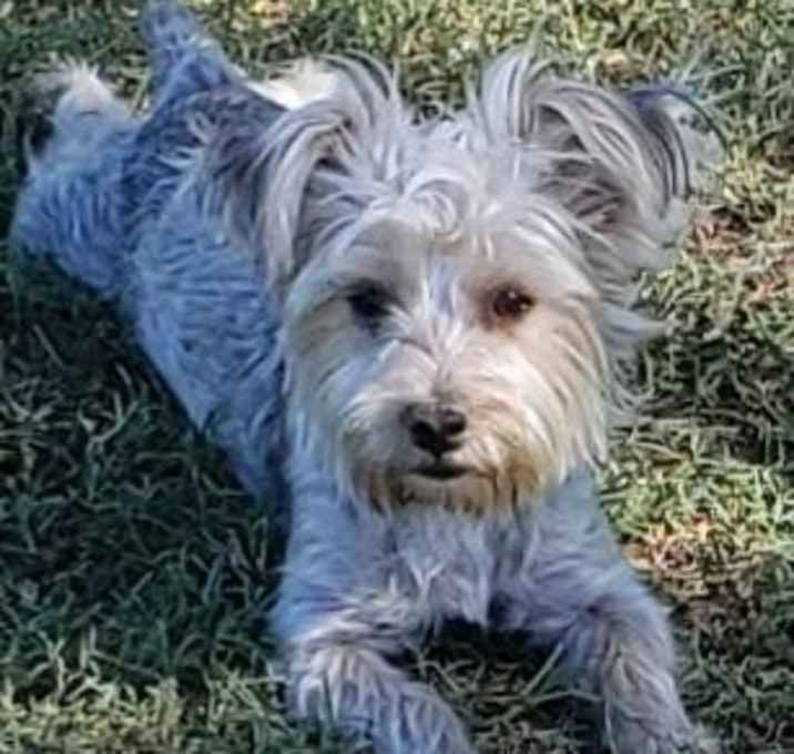 Photo of Dolly