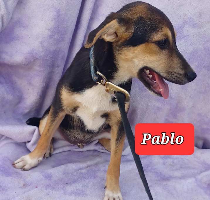 Photo of Pablo
