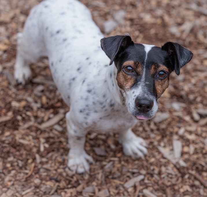 Photo of Esther