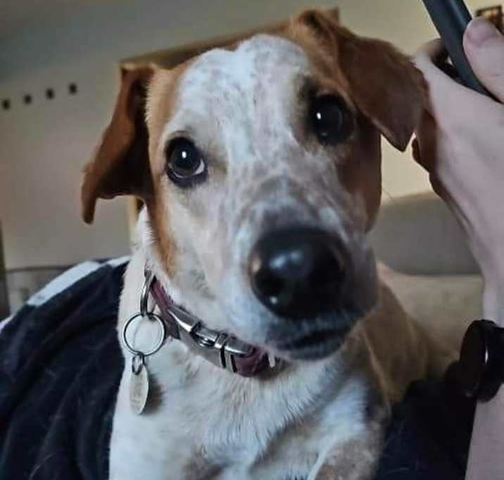 Photo of Jake