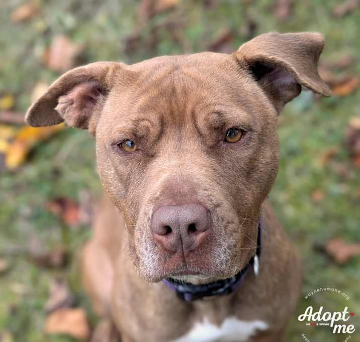 Photo of Lyla