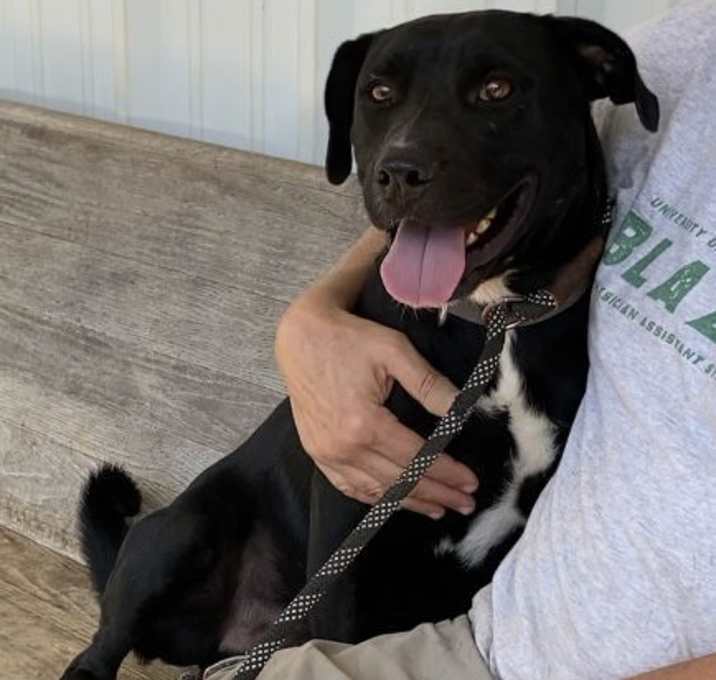 Photo of Roscoe