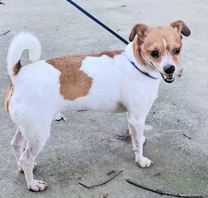 Photo of Fonzi