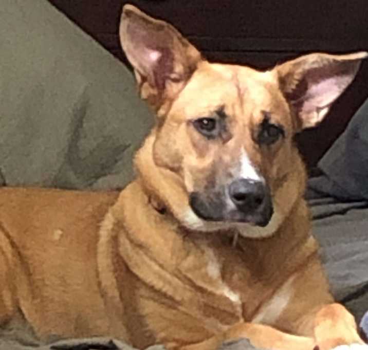Photo of Maddy