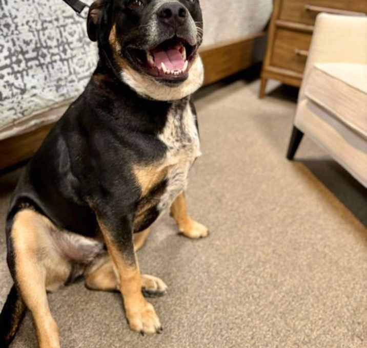 Photo of Cisco
