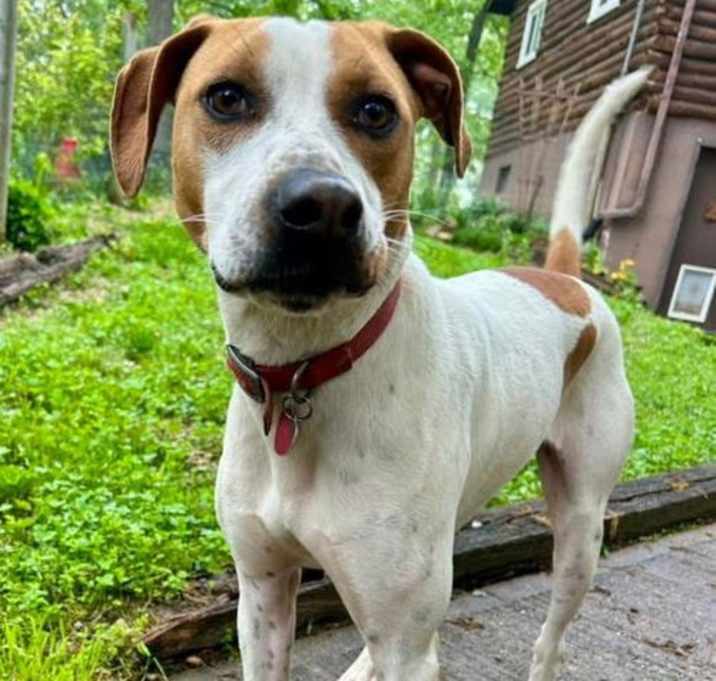 Photo of Chance