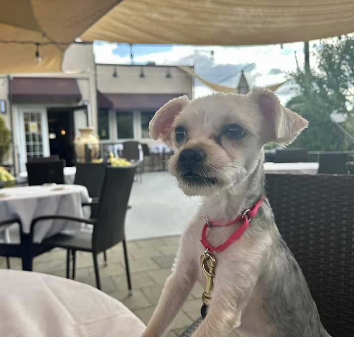 Photo of Hudson