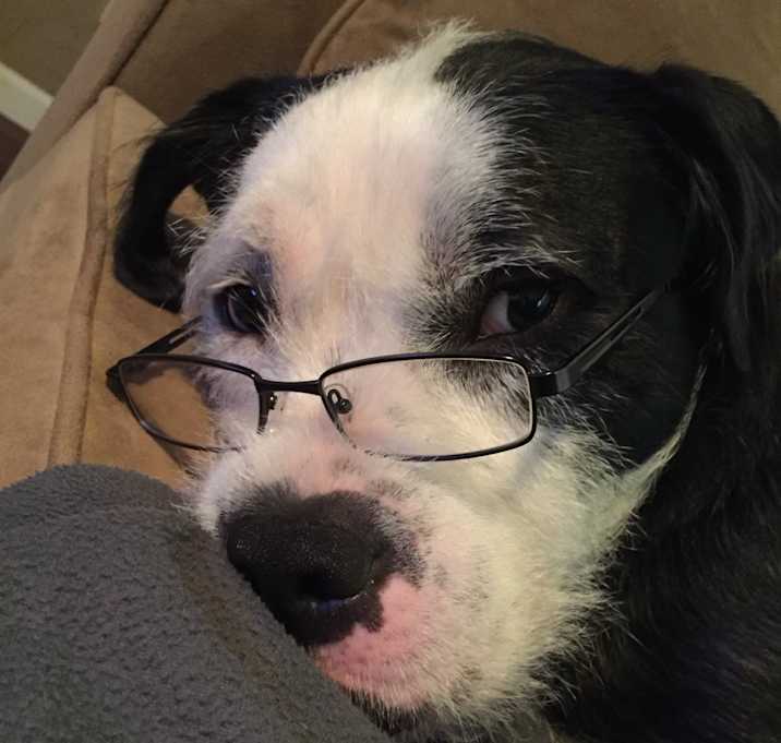 Photo of Jerry