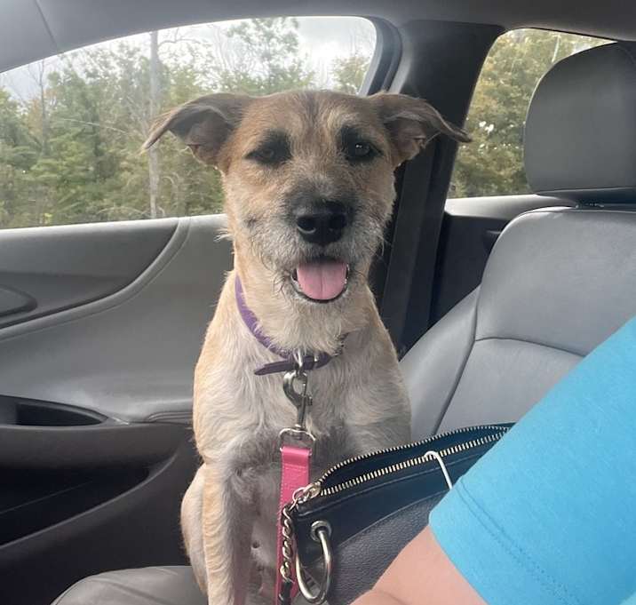 Photo of Gretta