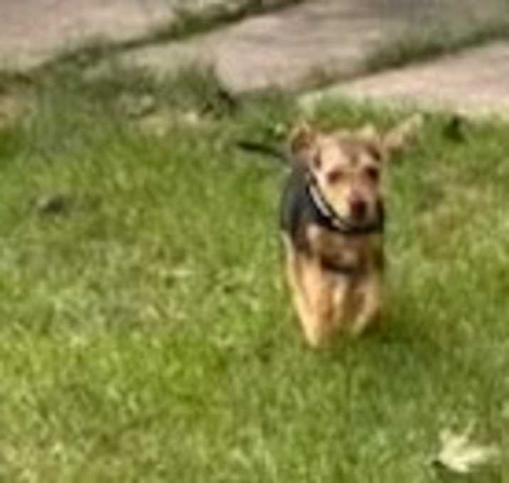 Photo of Benjie