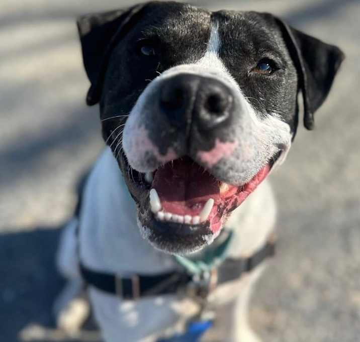 Photo of Wade *Partial Sponsored Adoption
