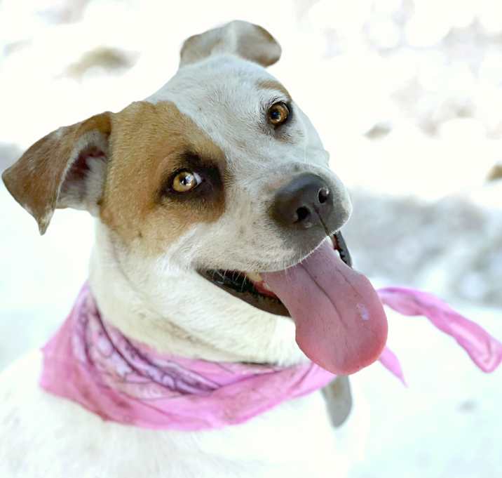 Photo of Jewel