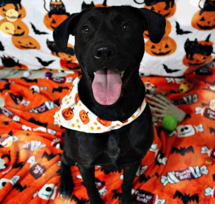 Photo of Ember
