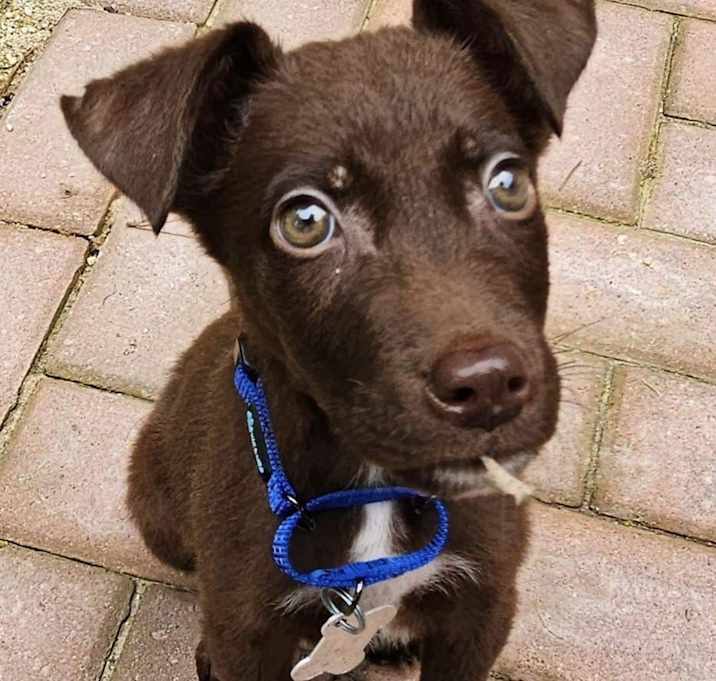 Photo of Hershey