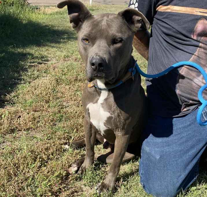 Photo of Bruno