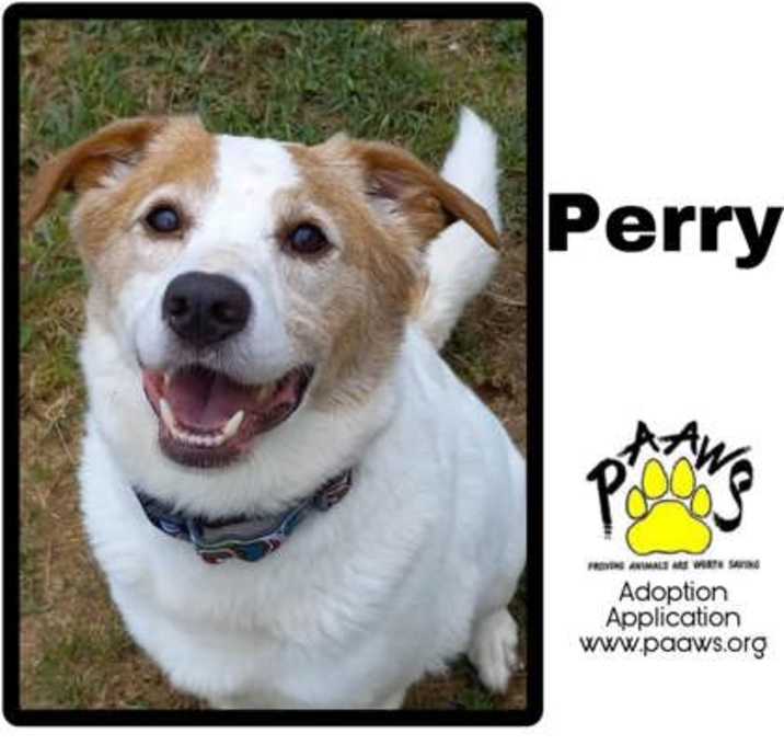 Photo of Perry
