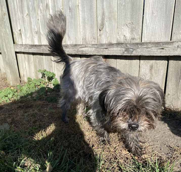 Photo of Mazie