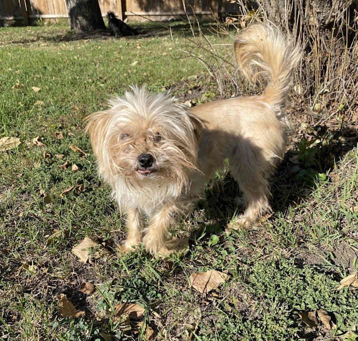 Photo of Bella