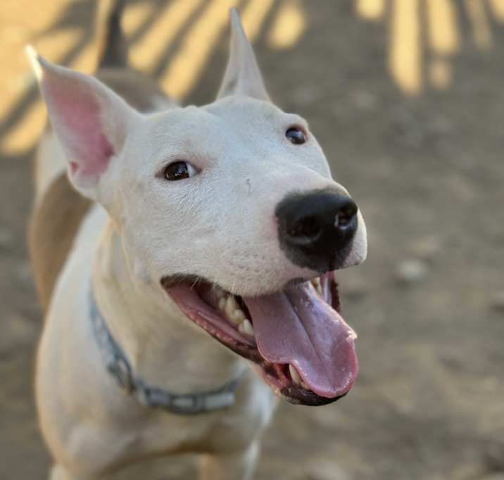 Photo of Mack