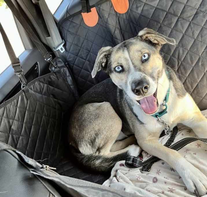Photo of Reese