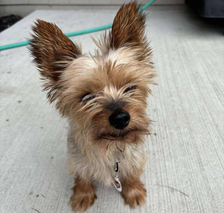 Photo of Potter