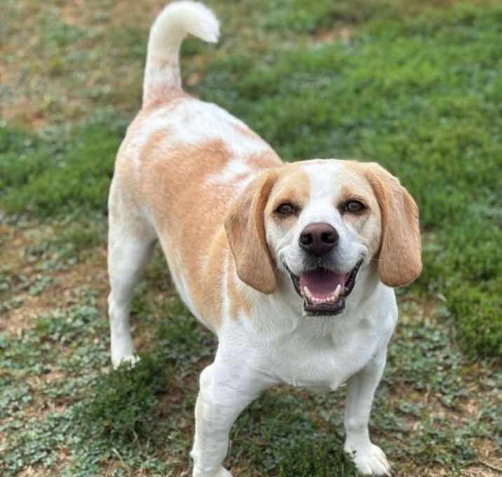Photo of Hobbs