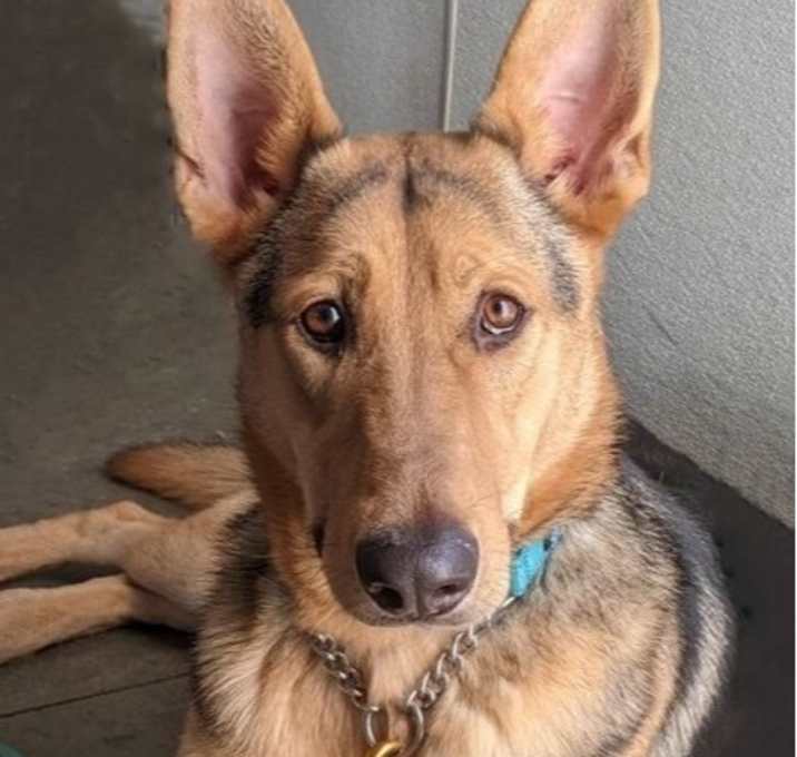 Photo of Boone