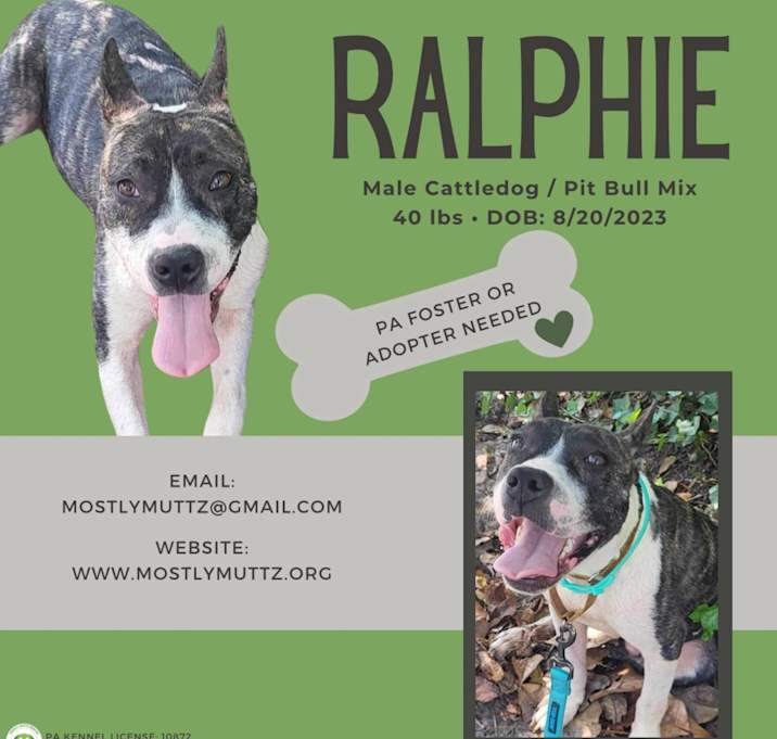 Photo of Ralphie
