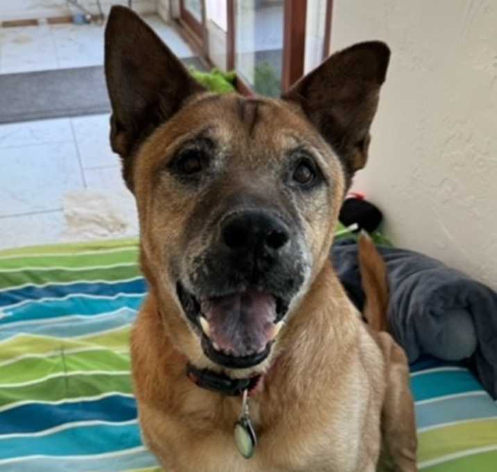 Photo of Oso